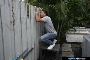 Original 2500 px/ 1670 px