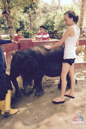 Original 2000 px/ 3000 px