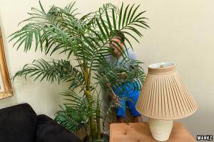 Original 1600 px/ 1067 px