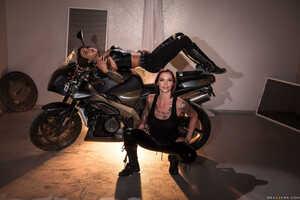 Original 2491 px/ 1663 px