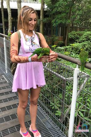 Original 2000 px/ 3000 px