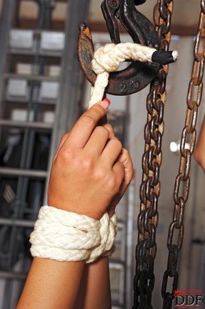 Original 1331 px/ 2000 px