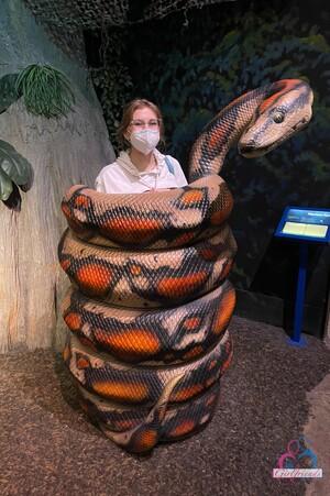 Original 1064 px/ 1600 px