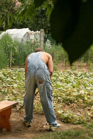 Original 1024 px/ 1536 px