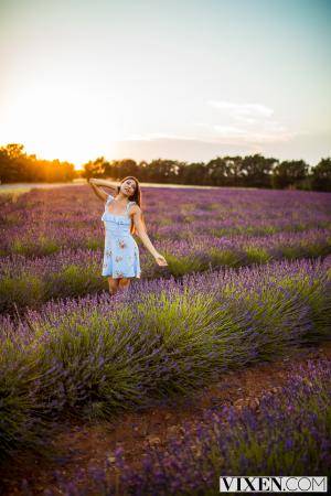 Original 2000 px/ 3000 px