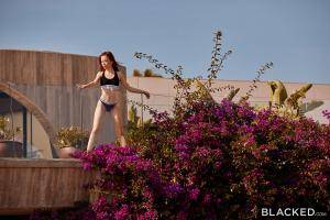 Original 3000 px/ 2000 px