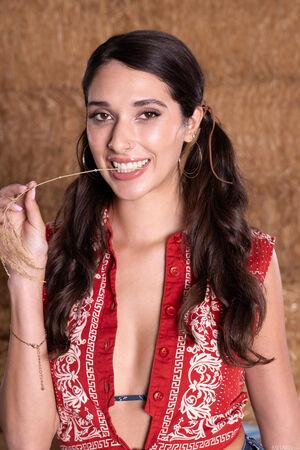 Original 5464 px/ 8192 px