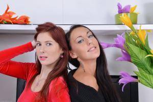 Original 1280 px/ 854 px