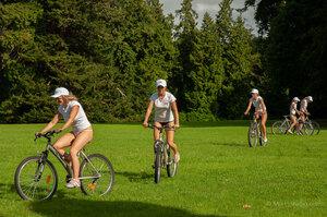 Original 3000 px/ 1993 px