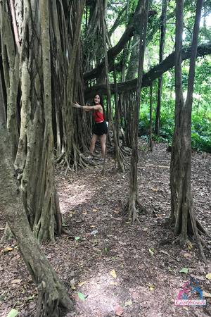 Original 2000 px/ 3000 px