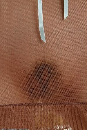 Original 692 px/ 1035 px