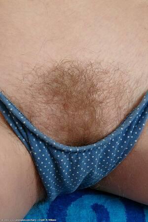 Original 684 px/ 1024 px