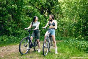 Original 6000 px/ 4002 px