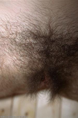 Original 682 px/ 1024 px