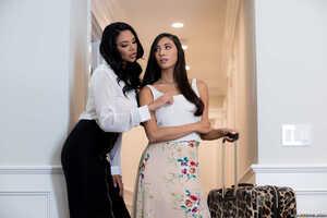 Original 2495 px/ 1663 px