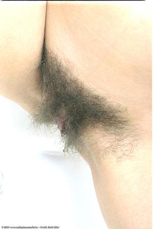 Original 682 px/ 1024 px