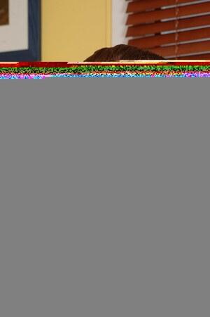 Original 1800 px/ 2707 px