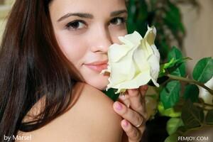 Original 2200 px/ 1467 px