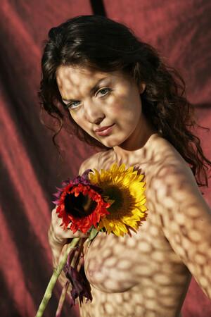 Original 2667 px/ 4000 px