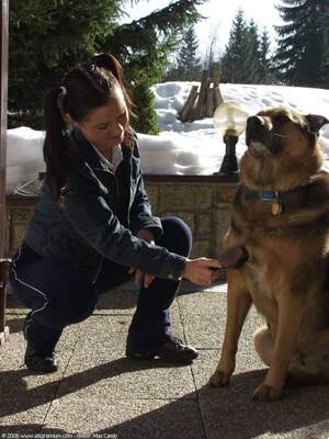 Original 1200 px/ 1600 px