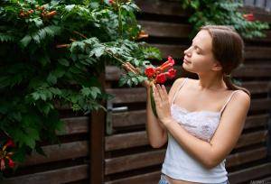 Original 6796 px/ 4635 px