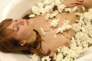 Original 2500 px/ 1662 px