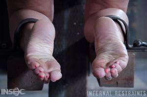 Original 1200 px/ 795 px