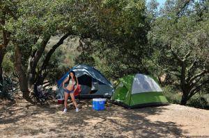 Original 2495 px/ 1663 px