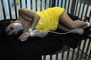 Original 2499 px/ 1663 px