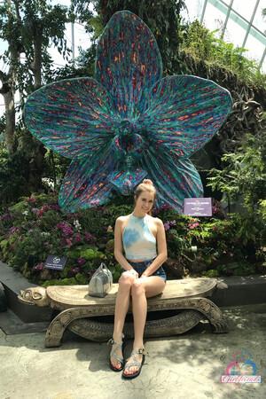 Original 2000 px/ 3000 px