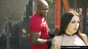 Original 2500 px/ 1406 px