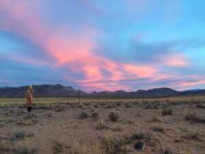 Original 2217 px/ 1663 px