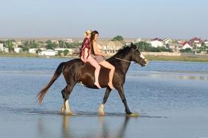 Original 2560 px/ 1700 px