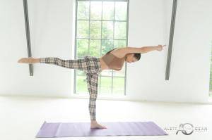 Original 4000 px/ 2662 px