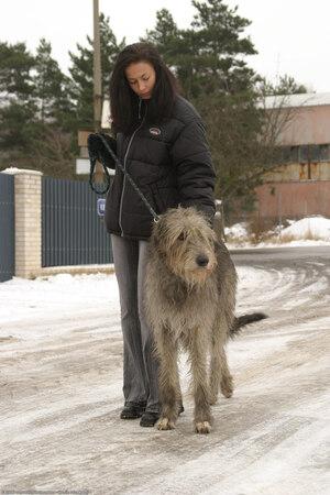 Original 1024 px/ 1536 px