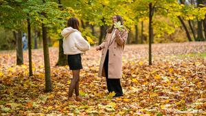 Original 6000 px/ 3376 px