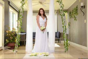 Original 2491 px/ 1663 px