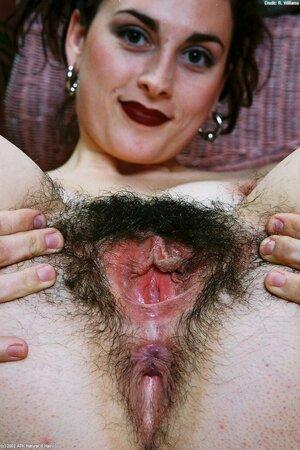 Original 683 px/ 1024 px