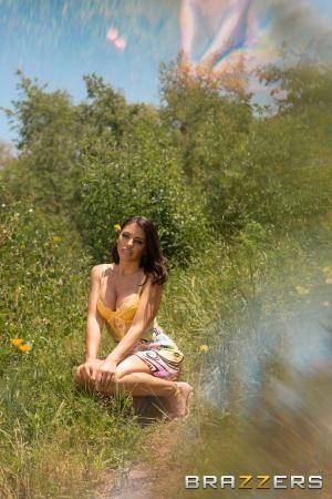 Original 2000 px/ 3000 px