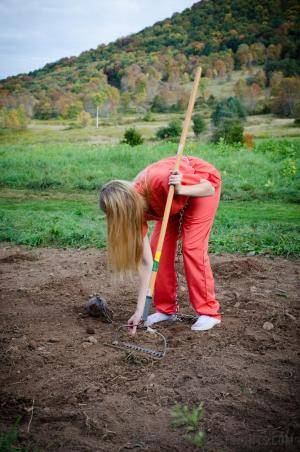 Original 795 px/ 1200 px