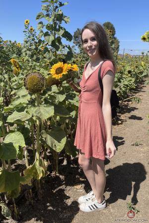 Original 2000 px/ 3000 px