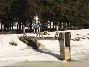 Original 1600 px/ 1200 px