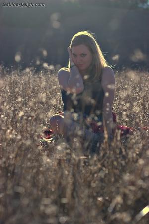 Original 1333 px/ 2000 px