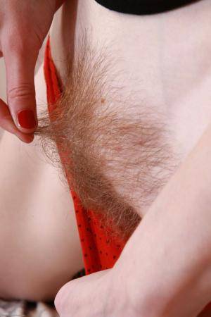 Original 682 px/ 1024 px