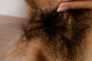 Original 1024 px/ 682 px