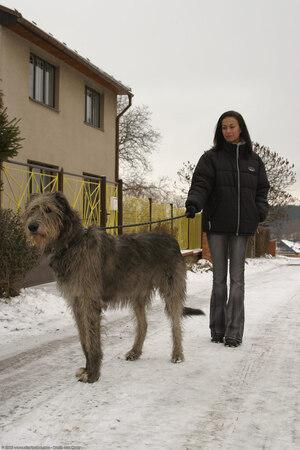 Original 1024 px/ 1536 px