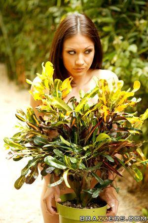 Original 600 px/ 902 px