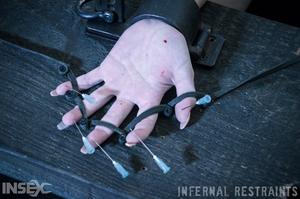 Original 1200 px/ 795 px