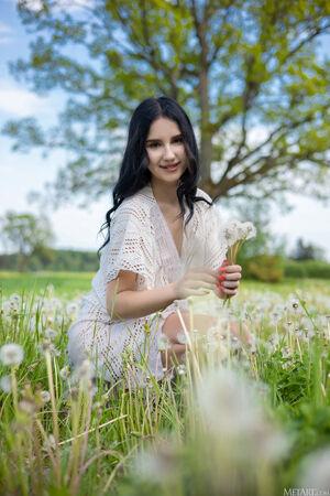 Original 3648 px/ 5472 px