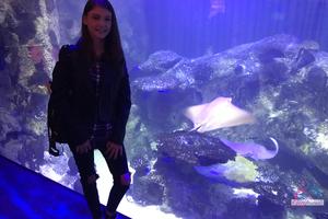 Original 3000 px/ 2000 px